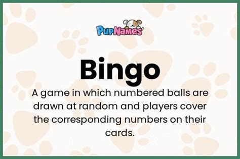 bingolim|Definição de bingolim – Meu Dicionário.
